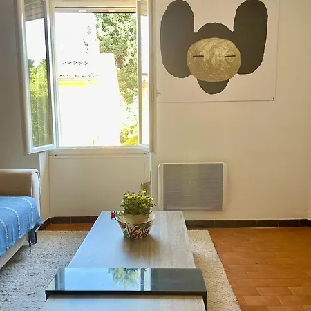 Cosy En Plein Centre De Apartament Hyères